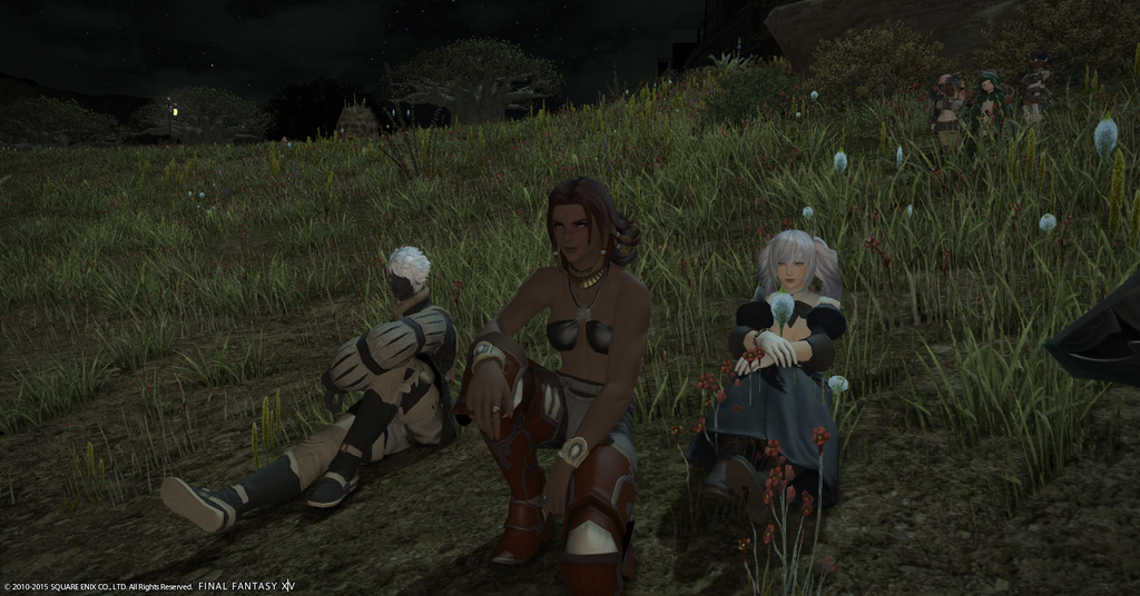 [Image: ffxiv_04182015_215416_zpsdy0gond5.png]
