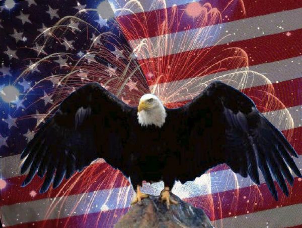  photo Eagle-Flag-Fireworks.jpg