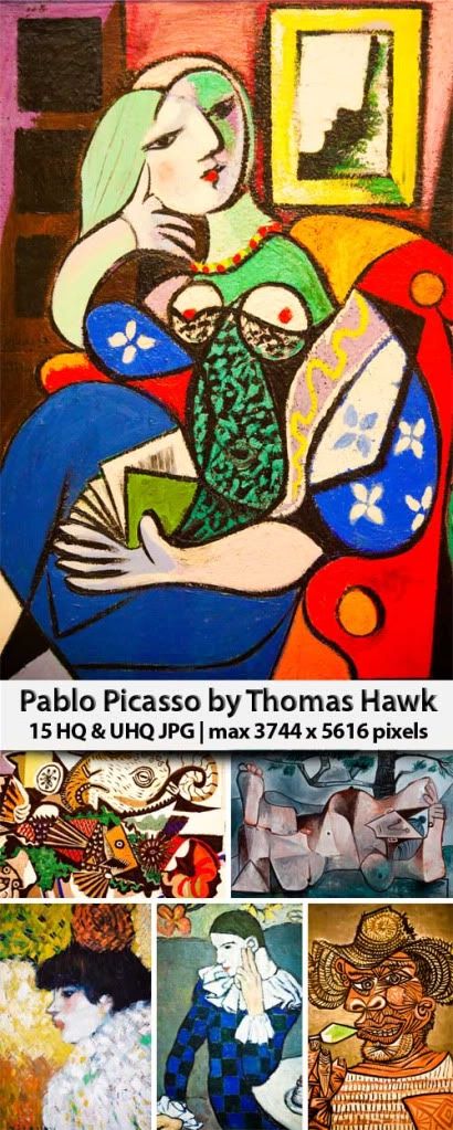 Stock Photo -  Pablo Picasso by Thomas Hawk