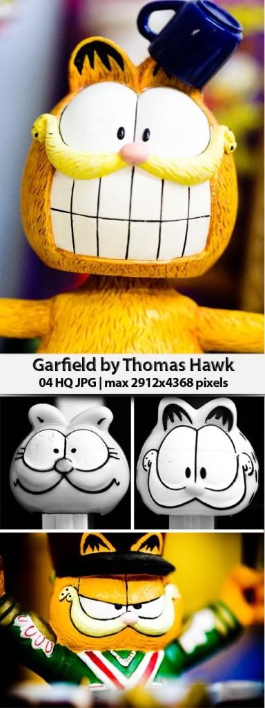 Stock Photo -  Garfield by Thomas Hawk
