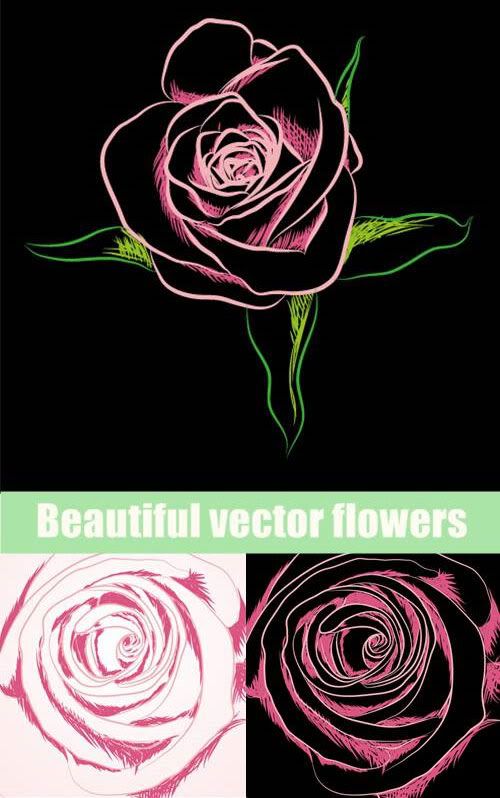 Stock Vectors - Beautiful flowers (reupload)