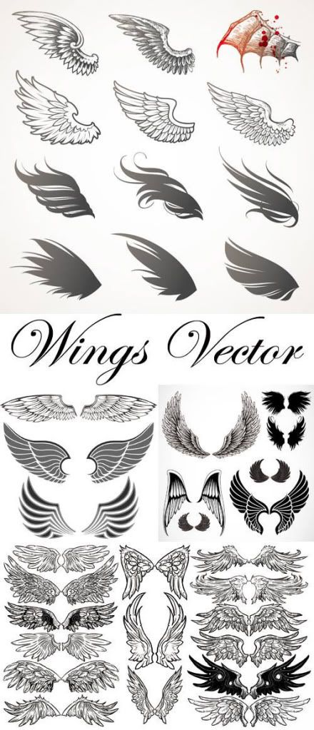 Wings Vector