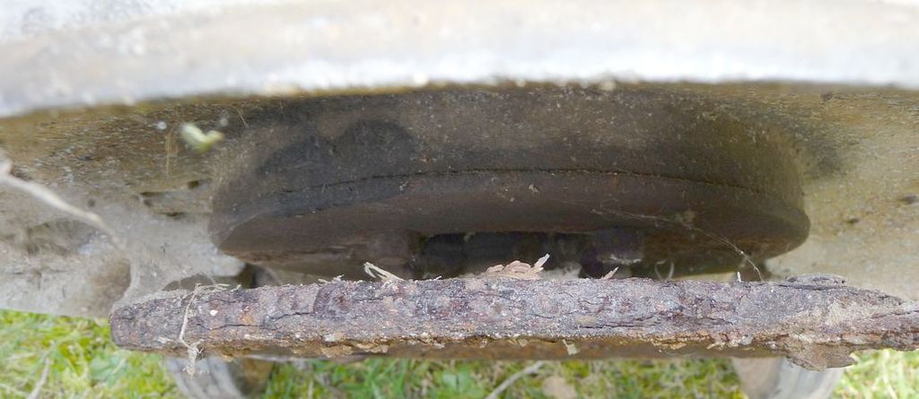 [Linked Image from i1222.photobucket.com]