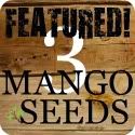 Three Mango Seeds