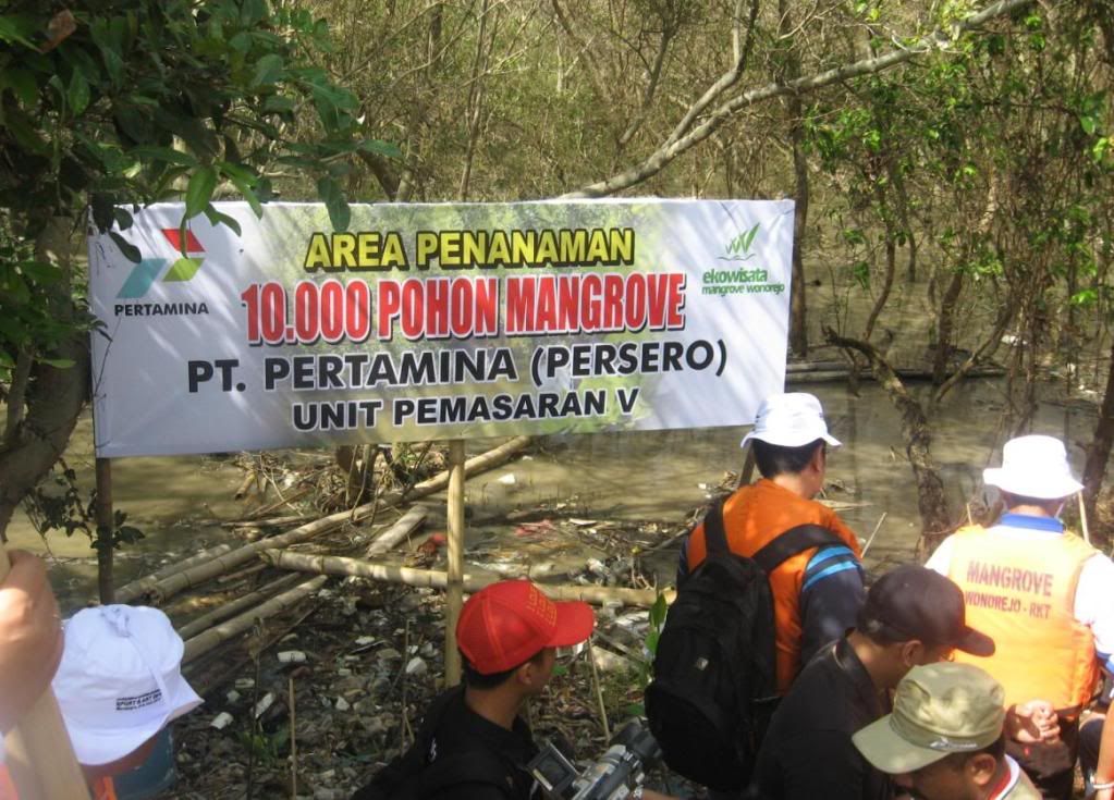 penanaman pertamina