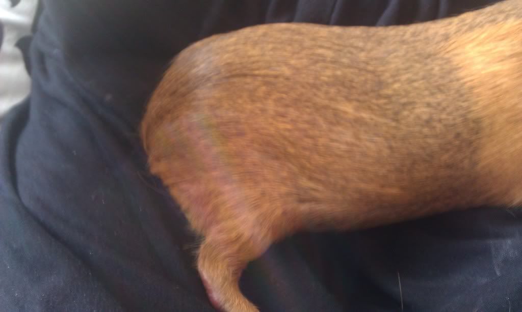 IMAG0342.jpg