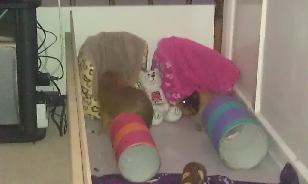 IMAG0408.jpg